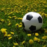 Soccer Ball